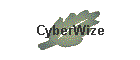 CyberWize